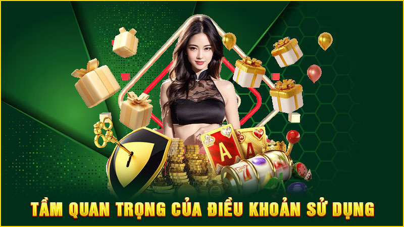 tầm quan trọng của điều khoản sử dụng